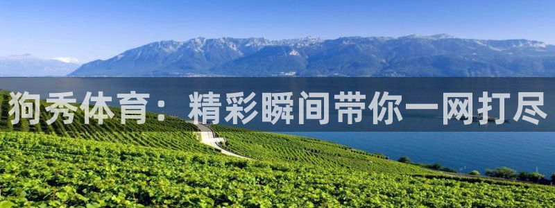 龙门镖局1.5在线观看免费完整版：狗秀体育：精彩瞬间带你一网打尽