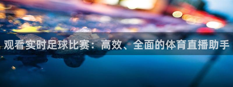 龙门飞甲播放