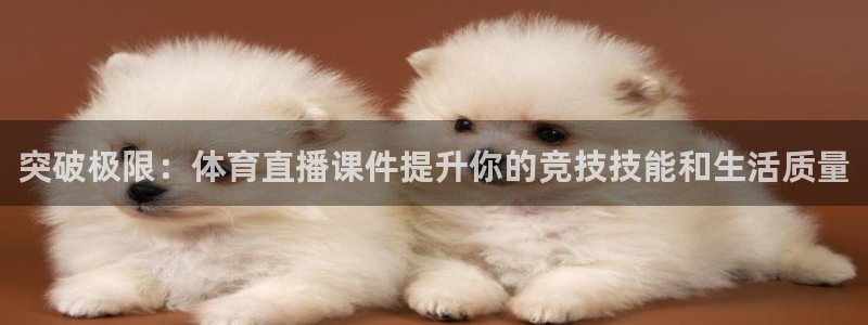 龙门直播app体育