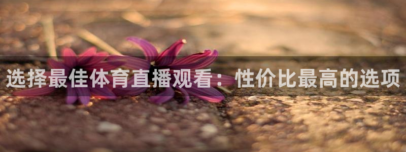 nba直播龙门