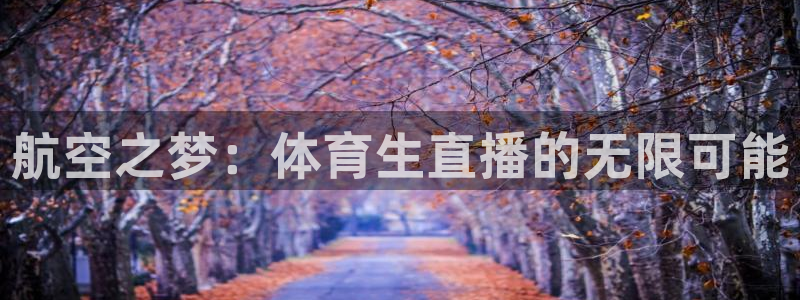 龙门飞甲粤语在线看