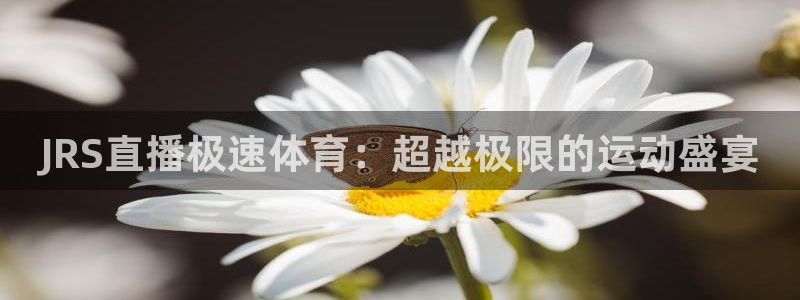 龙门直播吧