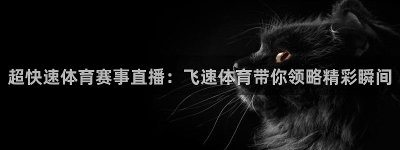 龙门直播间在线观看