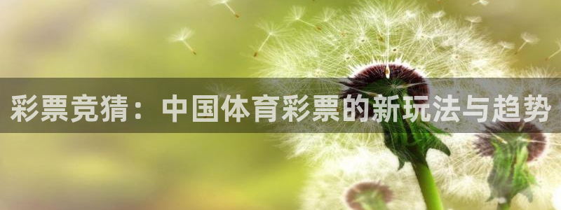 龙门视频：彩票竞猜：中国体育彩票的新玩法与趋势