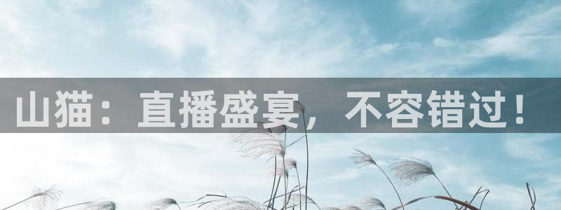 龙门直播吧：山猫：直播盛宴，不容错过！