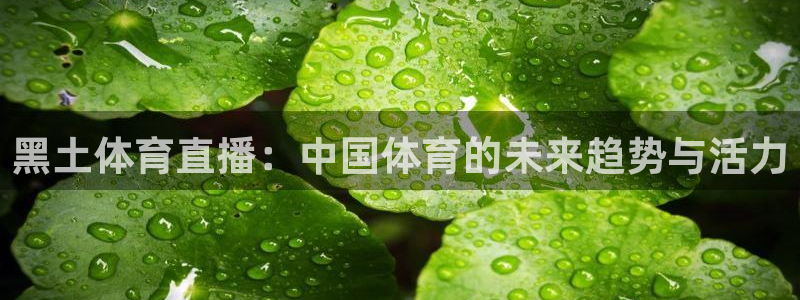 龙门令1至100集免费观看：黑土体育直播：中国体育的未来趋势与活力