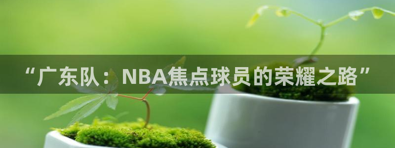 nba直播免费观看直播在线龙门：“广东队：NBA焦点球员的荣耀之路”