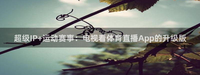 龙门镖局超清在线观看：超级IP+运动赛事：电视看体育直播App的升级版