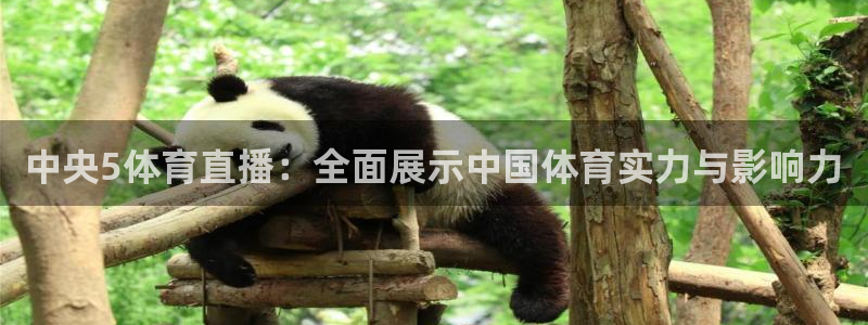 龙门nba直播：中央5体育直播：全面展示中国体育实力与影响力