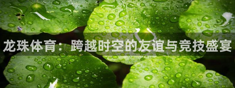 178直播比赛在线观看龙门：龙珠体育：跨越时空的友谊与竞技盛宴